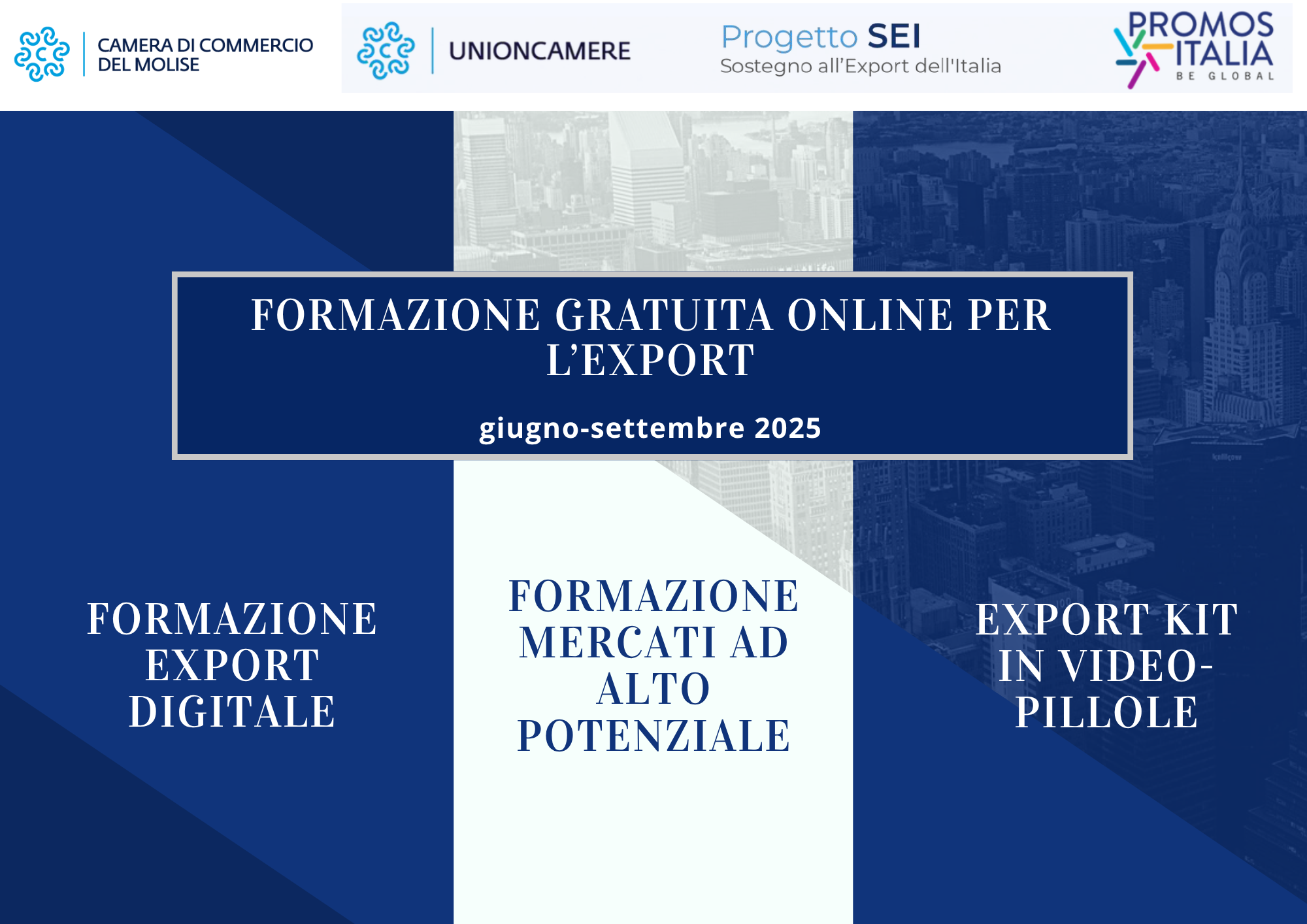 formazione gratuita online per l'export giugno settembre