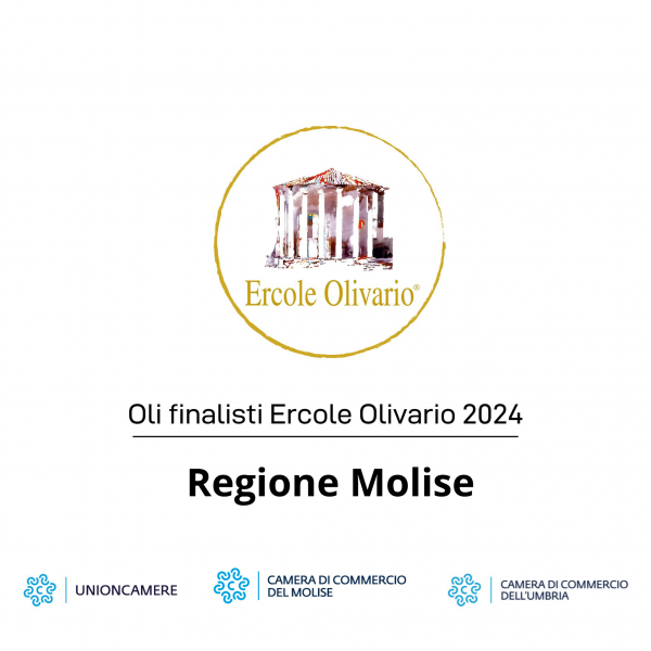 finaliste ercole olivario 2024