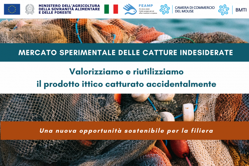 catture indesiderate