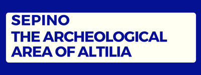 Sepino the archeological area of Aaltilia