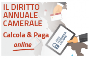 Diritto annuale