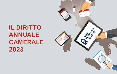 Diritto annuale