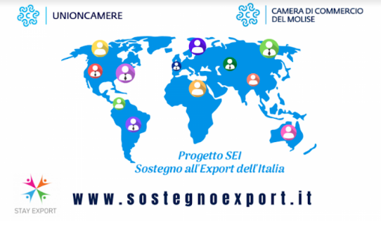 PROGETTI PER L'EXPORT