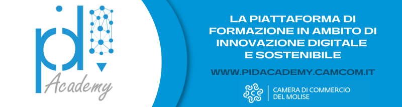 Pid Academy Pid Academy
