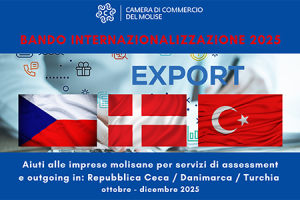 Bando Assessment & Outgoing in Repubblica Ceca / Danimarca / Turchia Bando Assessment & Outgoing in Repubblica Ceca / Danimarca / Turchia