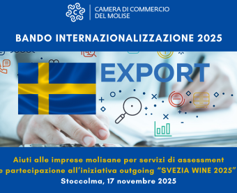 Bando Svezia wine 2025