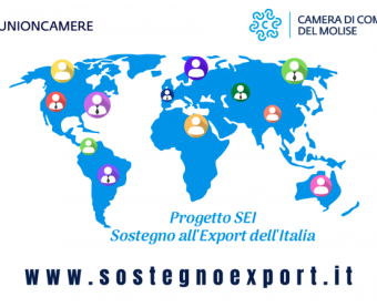 Progetto SEI