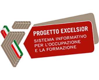 INDAGINE EXCELSIOR INDAGINE EXCELSIOR