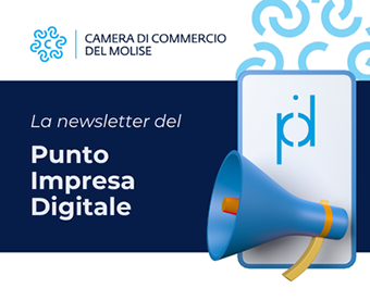 Newsletter del PID