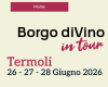 tour borgo di vino 2026