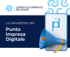 Newsletter del PID